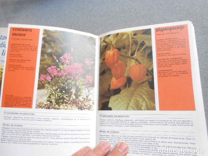Libros de segunda mano: PLANTAS Y FLORES MEDICINALES - Foto 4