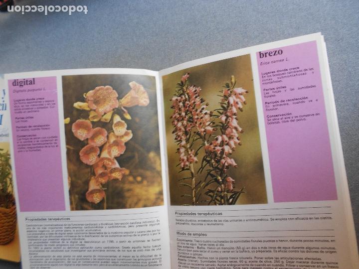 Libros de segunda mano: PLANTAS Y FLORES MEDICINALES - Foto 5
