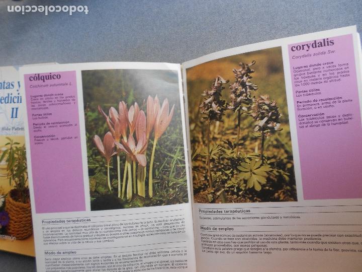 Libros de segunda mano: PLANTAS Y FLORES MEDICINALES - Foto 6
