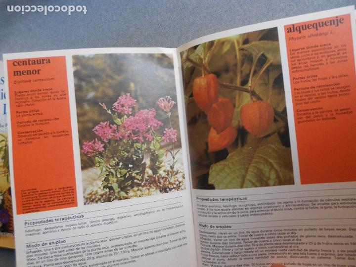 Libros de segunda mano: PLANTAS Y FLORES MEDICINALES - Foto 7
