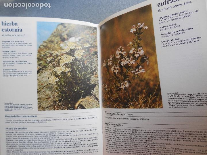 Libros de segunda mano: PLANTAS Y FLORES MEDICINALES - Foto 8