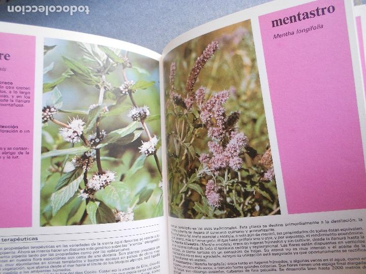Libros de segunda mano: PLANTAS Y FLORES MEDICINALES - Foto 10