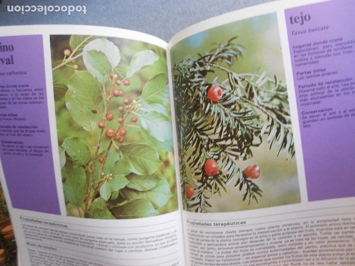 Libros de segunda mano: PLANTAS Y FLORES MEDICINALES - Foto 11
