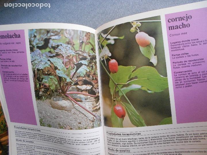 Libros de segunda mano: PLANTAS Y FLORES MEDICINALES - Foto 12