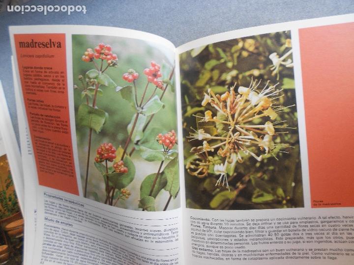 Libros de segunda mano: PLANTAS Y FLORES MEDICINALES - Foto 13