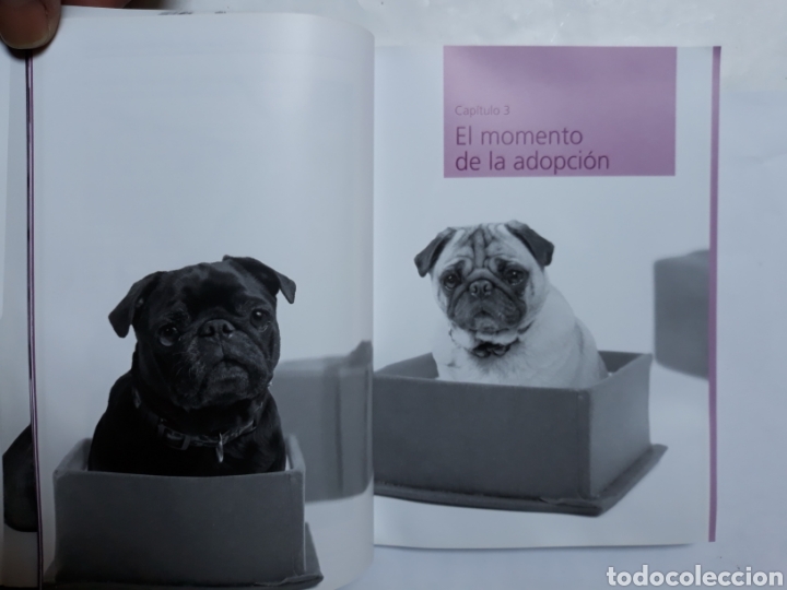 Libros de segunda mano: La educaci&oacute;n del cachorro manual b&aacute;sico. Pedro Est&eacute;vez - Foto 9