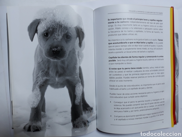 Libros de segunda mano: La educaci&oacute;n del cachorro manual b&aacute;sico. Pedro Est&eacute;vez - Foto 11