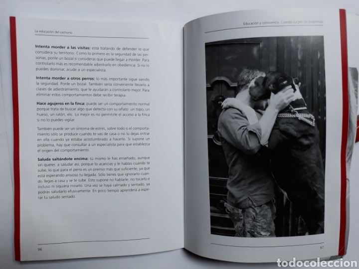 Libros de segunda mano: La educaci&oacute;n del cachorro manual b&aacute;sico. Pedro Est&eacute;vez - Foto 12