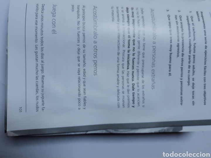 Libros de segunda mano: La educaci&oacute;n del cachorro manual b&aacute;sico. Pedro Est&eacute;vez - Foto 16