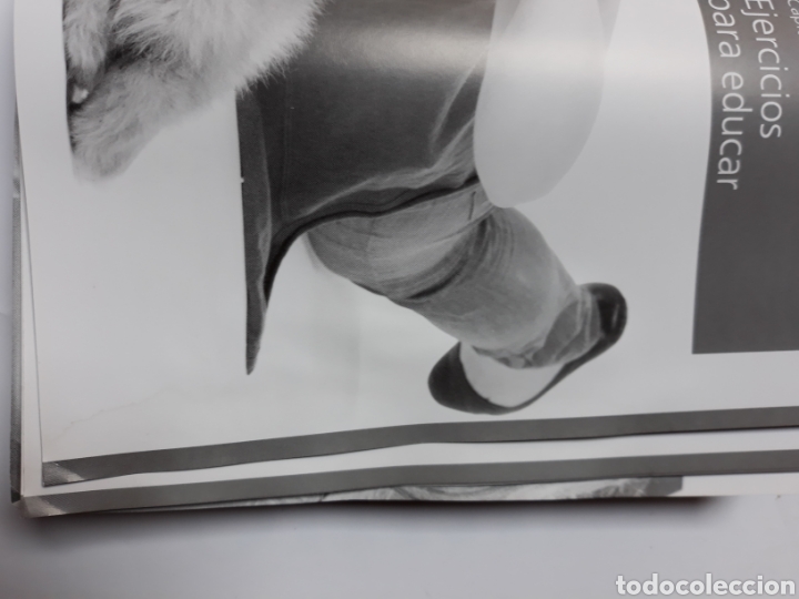 Libros de segunda mano: La educaci&oacute;n del cachorro manual b&aacute;sico. Pedro Est&eacute;vez - Foto 17