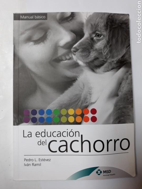 Libros de segunda mano: La educaci&oacute;n del cachorro manual b&aacute;sico. Pedro Est&eacute;vez - Foto 1