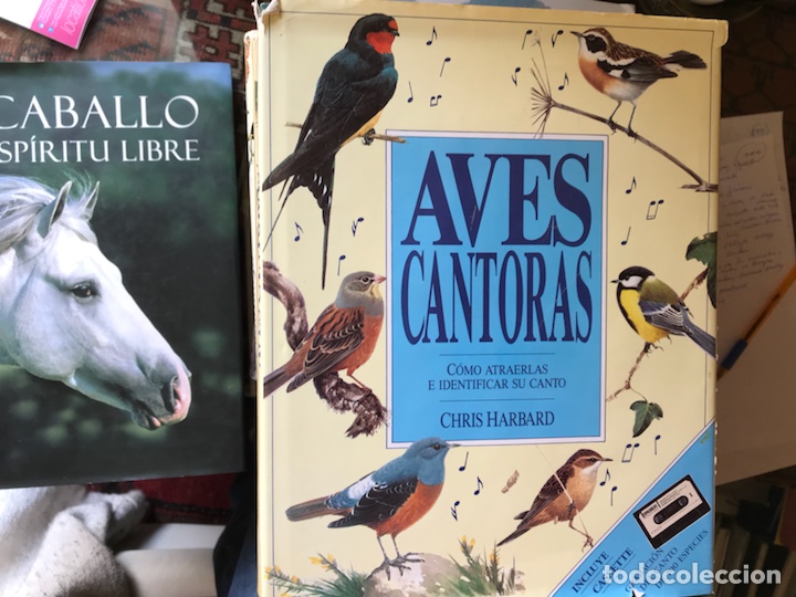 Libros de segunda mano: Aves cantoras. Chris Harbord - Foto 1