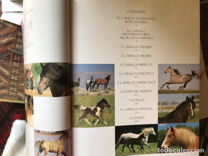 Libros de segunda mano: El caballo un esp&iacute;ritu libre - Foto 2