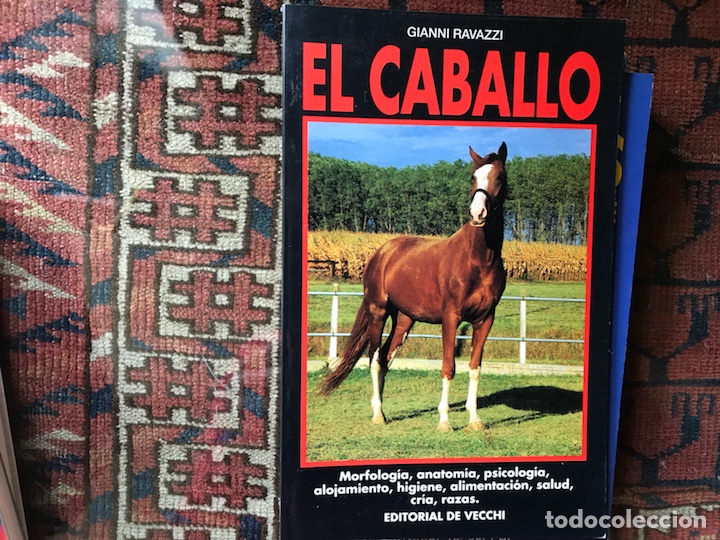 Libros de segunda mano: El caballo. Gianni Ravazzi - Foto 1