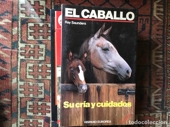 Libros de segunda mano: El caballo. Su cr&iacute;a y cuidado. Ray Saunders - Foto 1