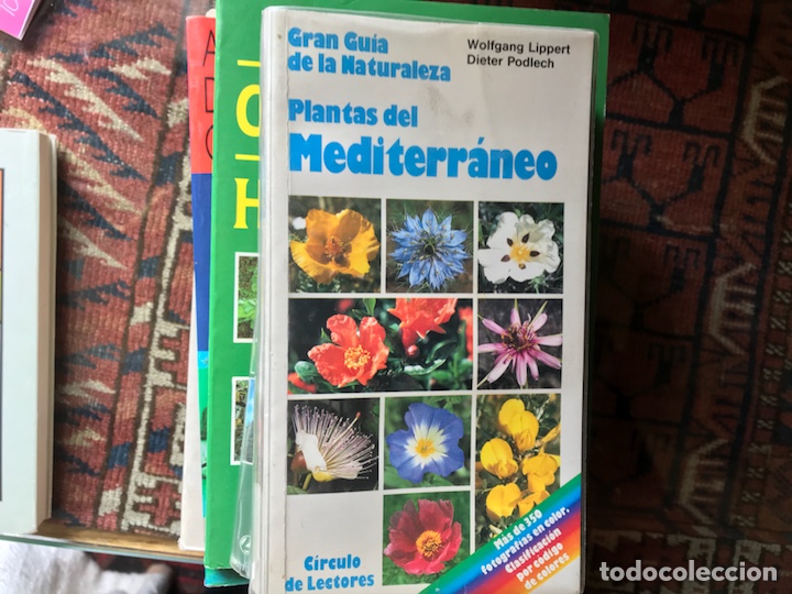 Libros de segunda mano: Plantas del Mediterr&aacute;neo. Wolfgang Lippert - Foto 1