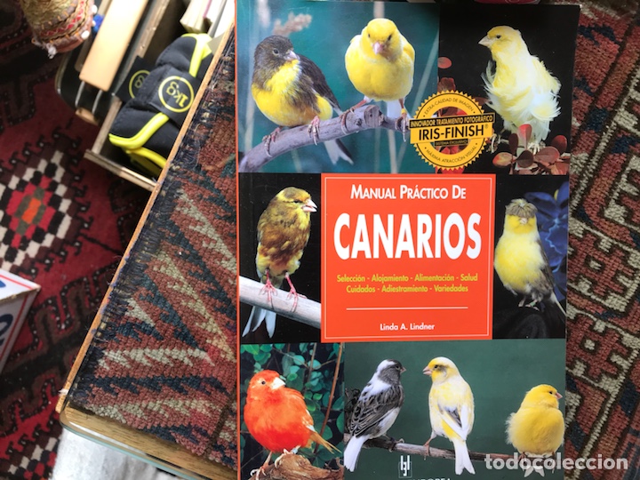 Libros de segunda mano: Manual pr&aacute;ctico de canarios. Linda A. Lindner - Foto 1
