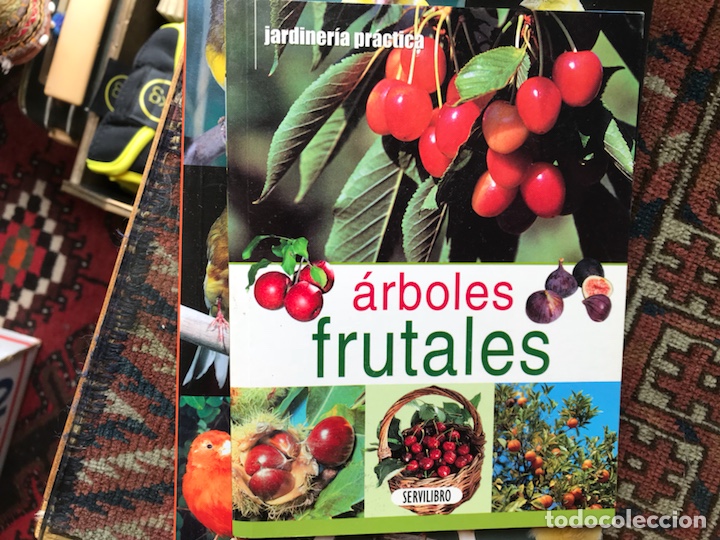 Libros de segunda mano: &Aacute;rboles frutales - Foto 1