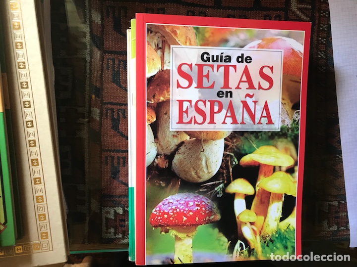 Libros de segunda mano: Gu&iacute;a de setas en Espa&ntilde;a. Jordi Vila - Foto 1