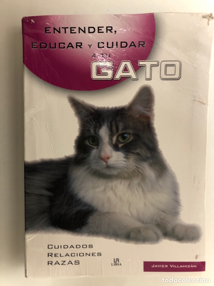 Libros de segunda mano: ENTENDER, EDUCAR Y CUIDAR A TU GATO, JAVIER VILLAHIZ&Aacute;N. ED. LIBSA. - Foto 1