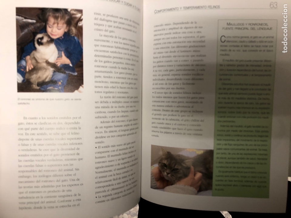 Libros de segunda mano: ENTENDER, EDUCAR Y CUIDAR A TU GATO, JAVIER VILLAHIZ&Aacute;N. ED. LIBSA. - Foto 2