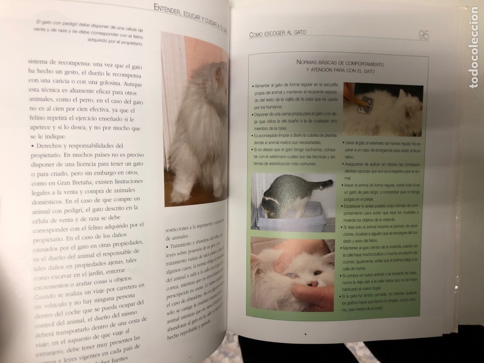 Libros de segunda mano: ENTENDER, EDUCAR Y CUIDAR A TU GATO, JAVIER VILLAHIZ&Aacute;N. ED. LIBSA. - Foto 4