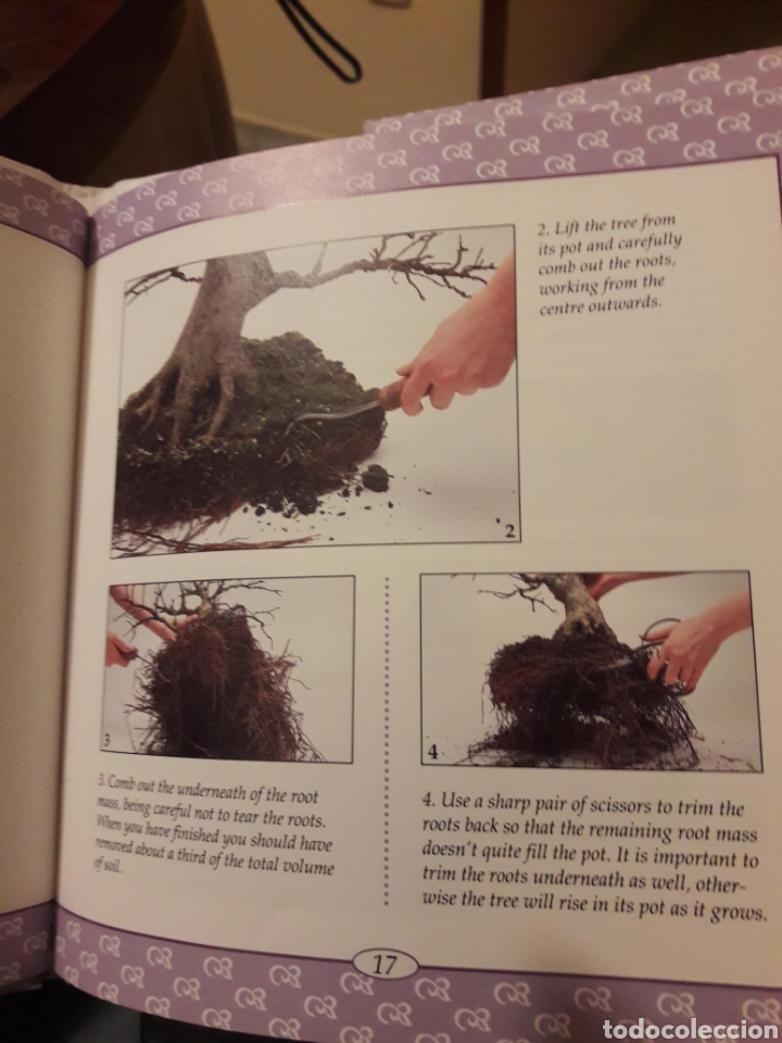 Libros de segunda mano: Bons&aacute;i. Ed laura potts 1995 libro en ingl&eacute;s - Foto 5