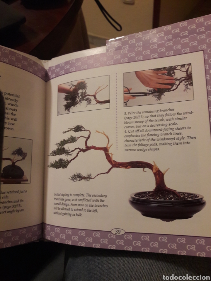 Libros de segunda mano: Bons&aacute;i. Ed laura potts 1995 libro en ingl&eacute;s - Foto 7
