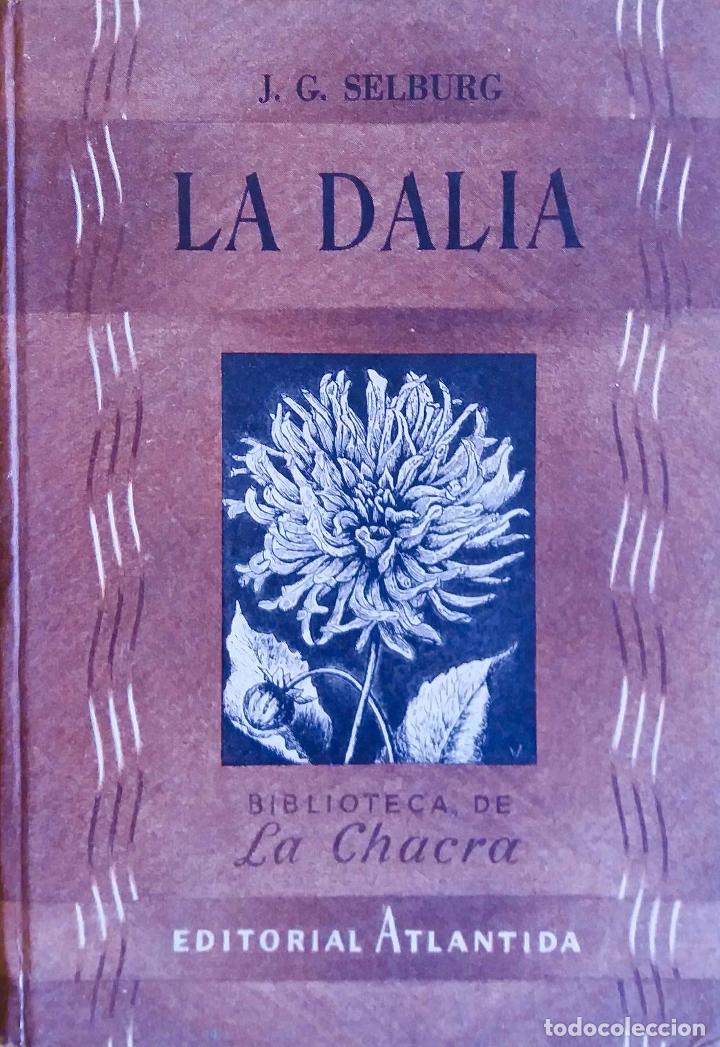 Libros de segunda mano: LA DALIA, J. GUSTAVO SELBURG. LIBRO - Foto 1