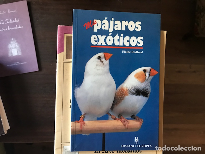 Libros de segunda mano: P&aacute;jaros ex&oacute;ticos. Eliana Radford - Foto 1