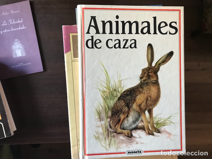 Libros de segunda mano: Animales de caza. Susaeta - Foto 1