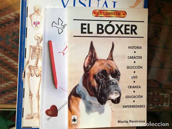 Libros de segunda mano: El libro del,b&oacute;xer. Mario Perricone - Foto 1