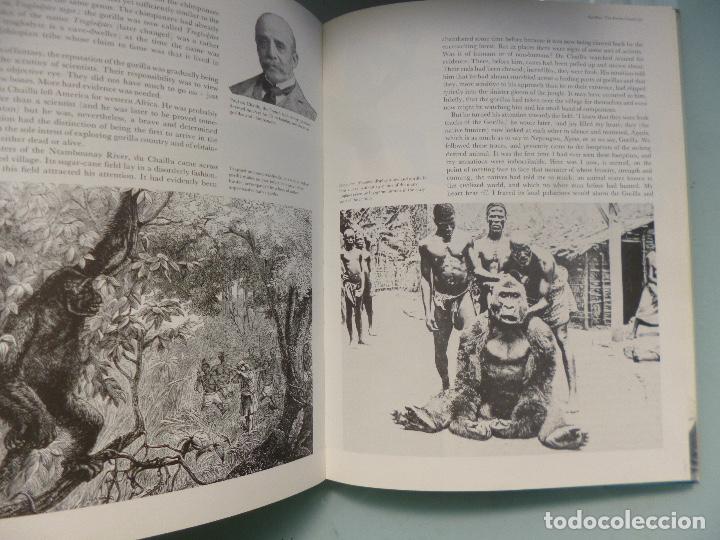 Libros de segunda mano: Great Apes Dan Freeman en ingles - Foto 3