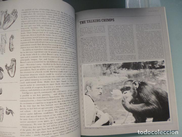 Libros de segunda mano: Great Apes Dan Freeman en ingles - Foto 9