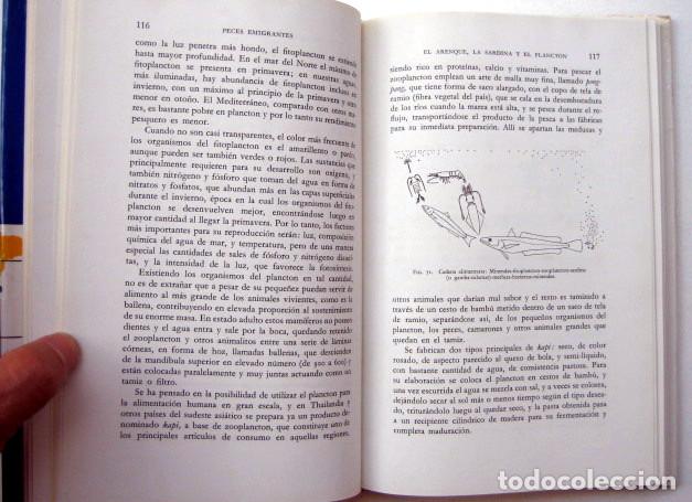 Libros de segunda mano: Peces emigrantes, de J. L&oacute;pez - Foto 4