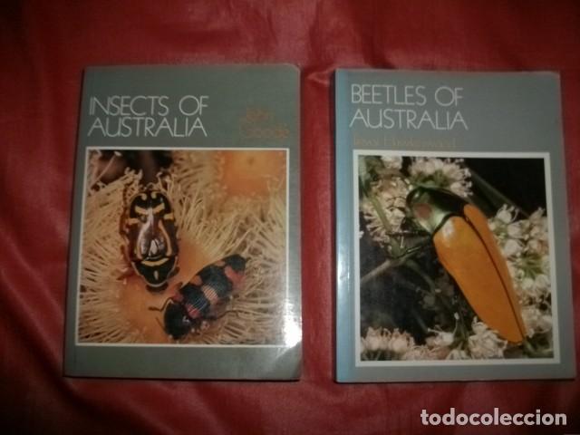 Insectos Y Escarabajos De Australia En Ingles Buy Books Of Biology And Botany At Todocoleccion