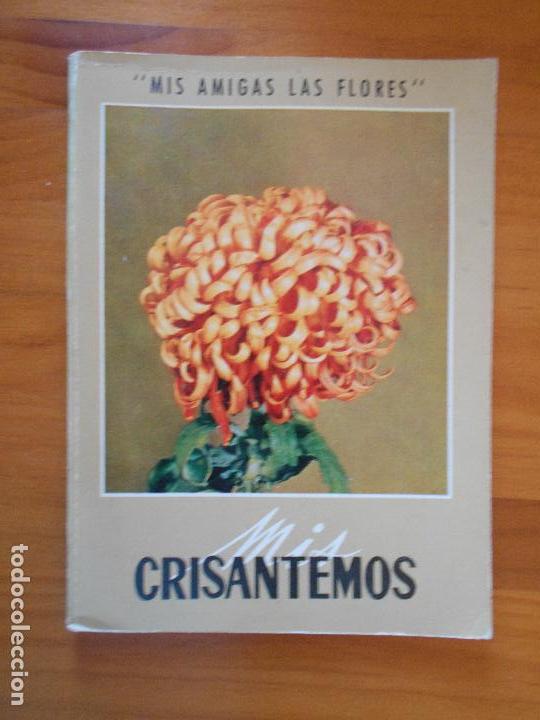 Libros de segunda mano: MIS CRISANTEMOS - MIS AMIGAS LAS FLORES (H2) - Foto 1
