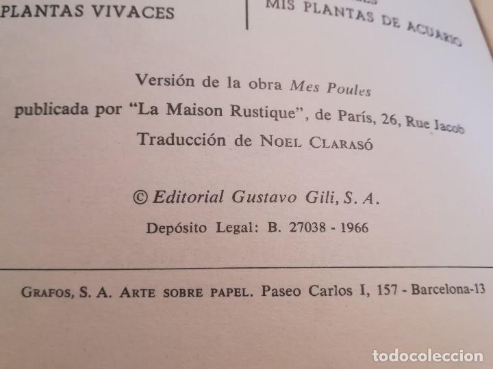 Libros de segunda mano: Mis gallinas - Colecci&oacute;n Mis amigos los animales - 1966 - Foto 3