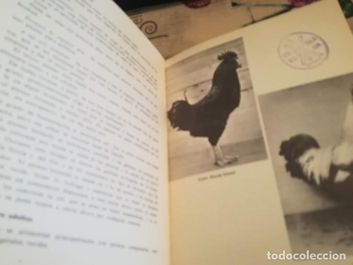 Libros de segunda mano: Mis gallinas - Colecci&oacute;n Mis amigos los animales - 1966 - Foto 5