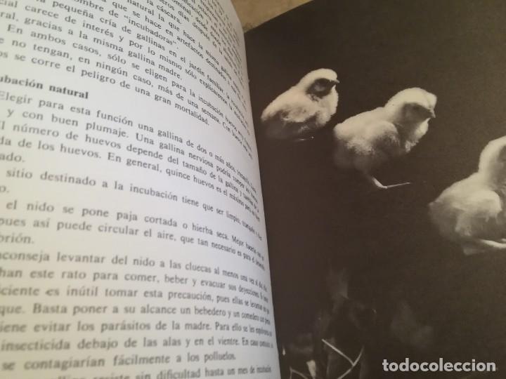 Libros de segunda mano: Mis gallinas - Colecci&oacute;n Mis amigos los animales - 1966 - Foto 6