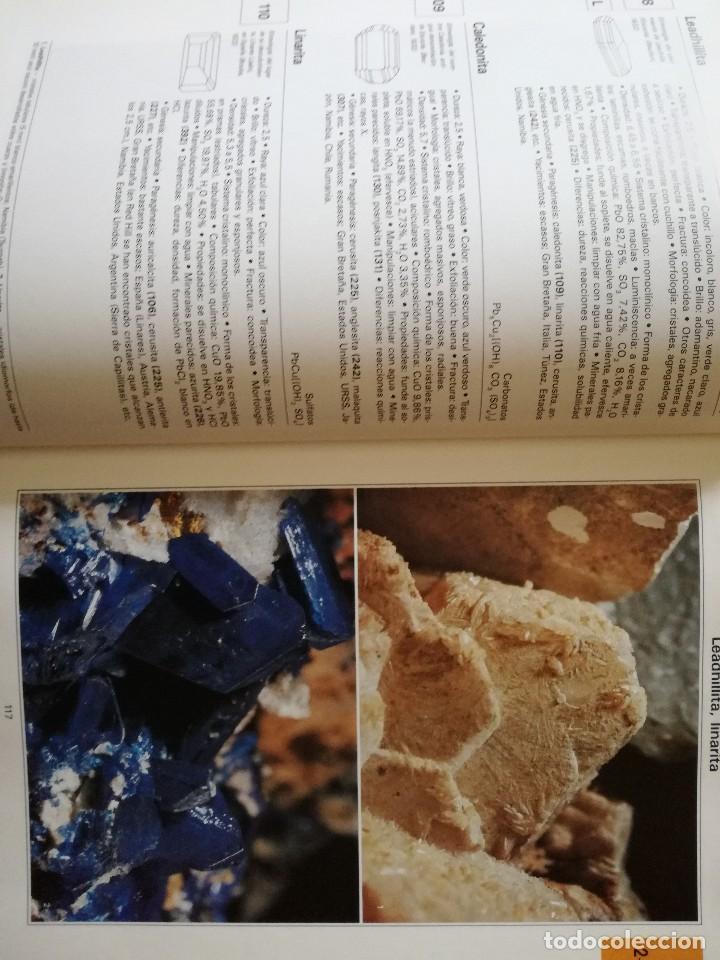 La Gran Enciclopedia De Los Mineralessusaeta Comprar Libros De Paleontología Y Geología En 6737