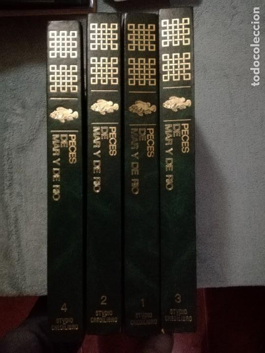 Libros de segunda mano: Peces de mar y de r&iacute;o 4 Tomos Studio Credilibro 1986. - Foto 1