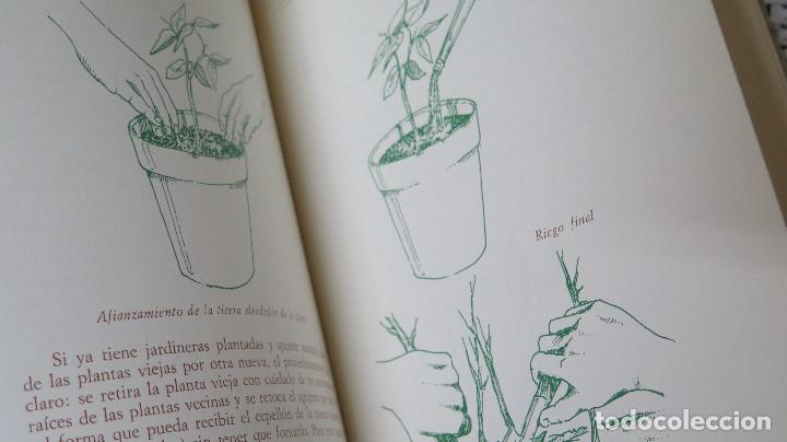 Libros de segunda mano: Jardineria de terraza. FRANCISCO PAEZ - Foto 5