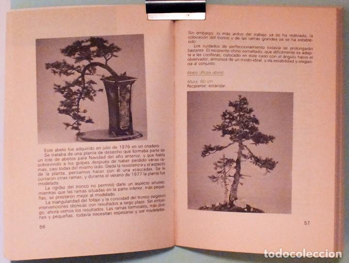 Libros de segunda mano: LIBRO, GU&Iacute;A PR&Aacute;CTICA del BONSAI - Foto 2