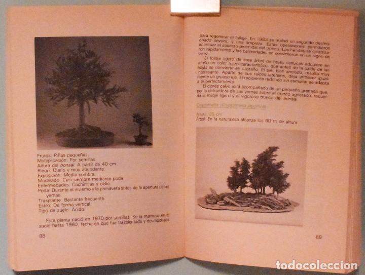 Libros de segunda mano: LIBRO, GU&Iacute;A PR&Aacute;CTICA del BONSAI - Foto 3