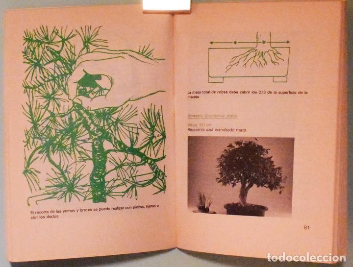 Libros de segunda mano: LIBRO, GU&Iacute;A PR&Aacute;CTICA del BONSAI - Foto 4