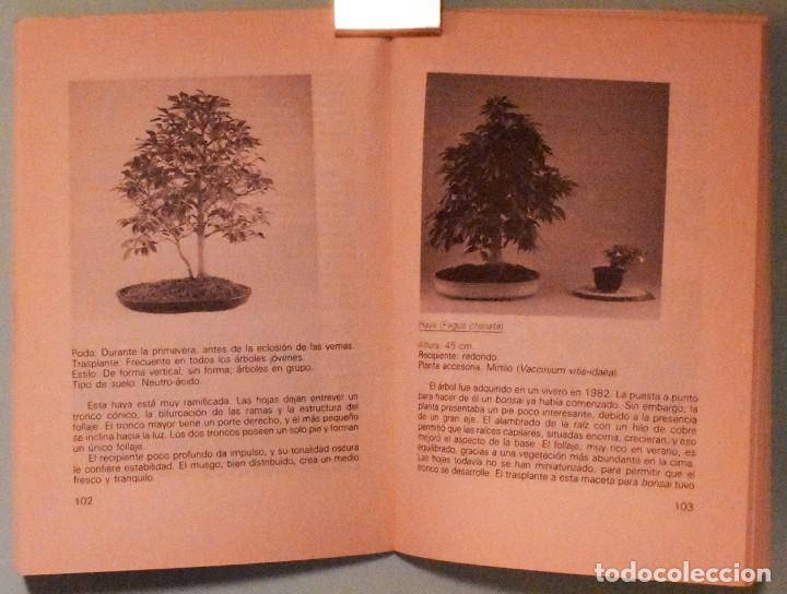 Libros de segunda mano: LIBRO, GU&Iacute;A PR&Aacute;CTICA del BONSAI - Foto 5