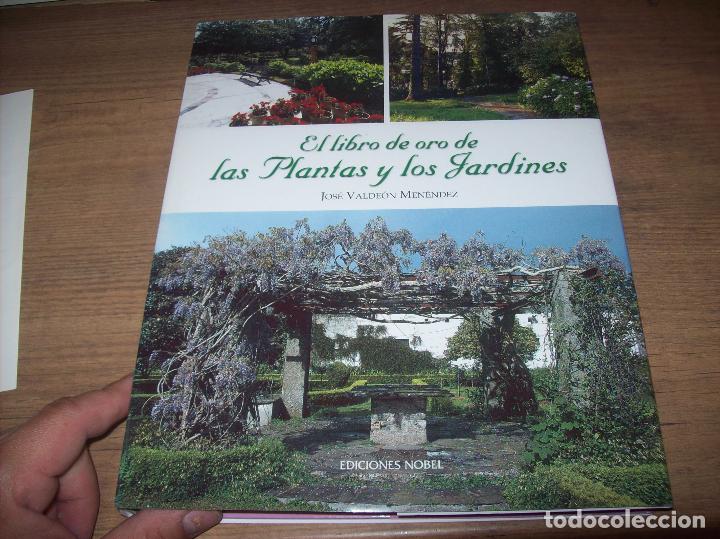 Libros de segunda mano: EL LIBRO DE ORO DE LAS PLANTAS Y LOS JARDINES. JOSÉ VALDEÓN. EDICIONES NOBEL. 1ª EDICIÓN 2001. FOTOS - Foto 2 - 125867599