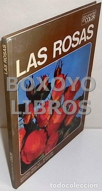 Libros de segunda mano: BINELLI, Claudia. Las rosas. Traducci&oacute;n Francisco gil - Foto 1