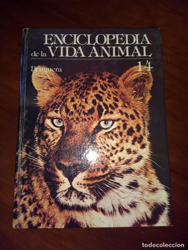 Libros de segunda mano: ENCICLOPEDIA DE LA VIDA ANIMAL. TOMO 14 - Foto 1